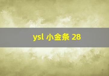 ysl 小金条 28